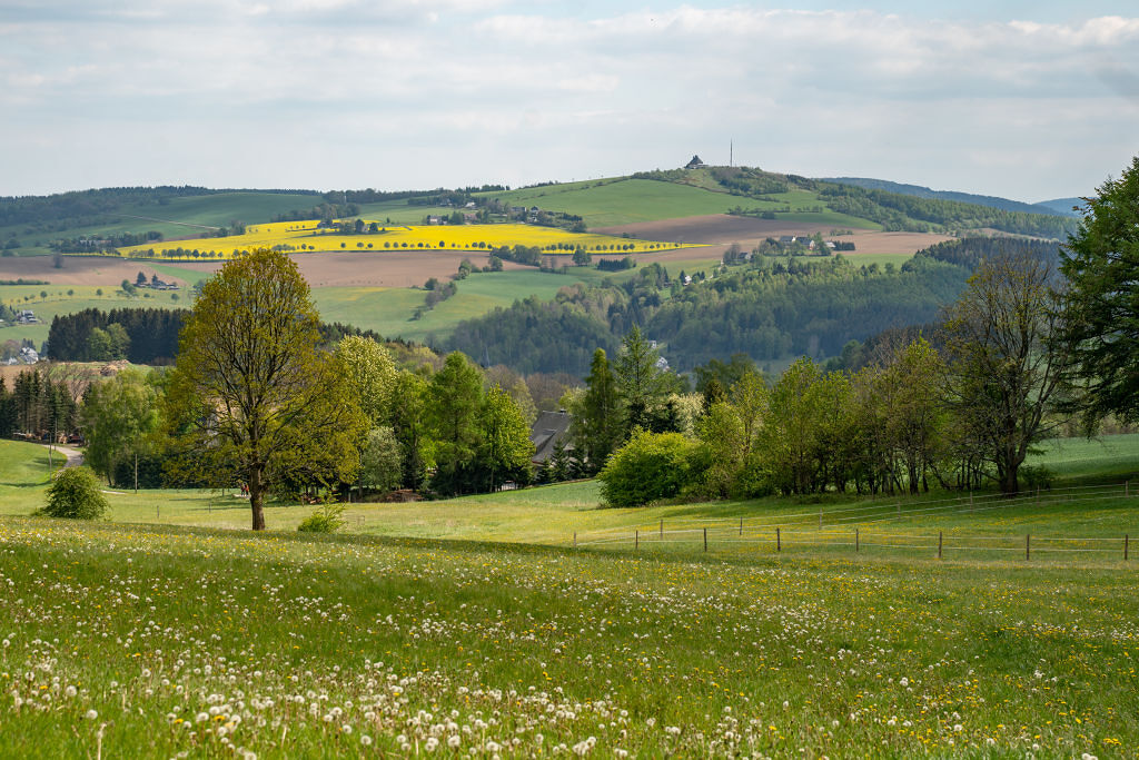 Panoramaweg Neuhausen